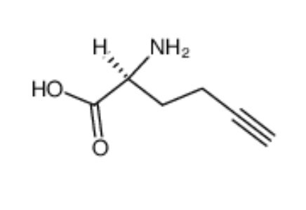 L-Homopropargylglycine (HPG) 