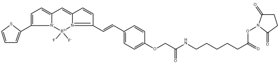 BDP 630/650 X NHS ester 