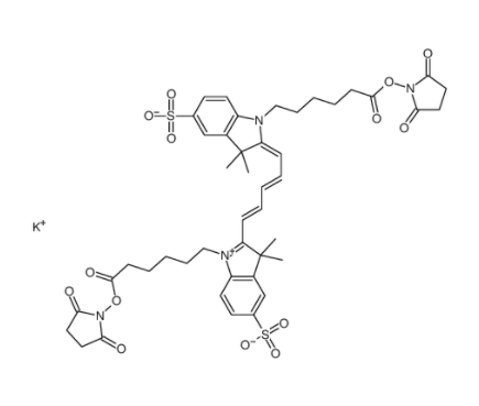 花青5双己酸染料,琥珀酰亚胺酯,钾盐	 