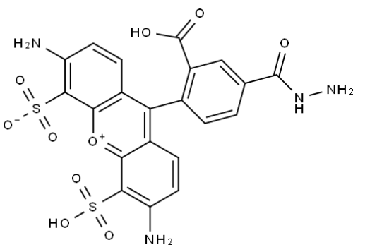 BP Fluor 488 Hydrazide BP Fluor 488 Hydrazide