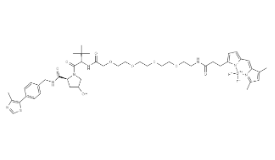 2770675-66-4 2770675-66-4