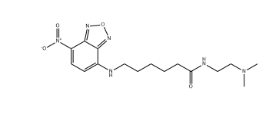 Lysotracker Yellow HCK-123 Lysotracker Yellow HCK-123