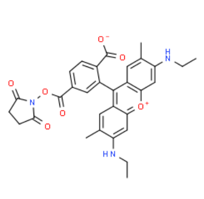 6-CARBOXYRHODAMINE 6G, SUCCINIMIDYL ESTER 6-CARBOXYRHODAMINE 6G, SUCCINIMIDYL ESTER