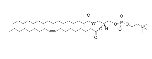 16:0-18:1 PC，CAS:26853-31-6，磷脂酰胆碱