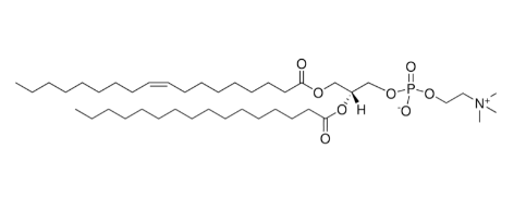 18:1-16:0 磷脂酰胆碱，18:1-16:0 PC，CAS:59491-62-2