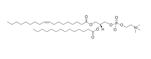 18:1-14:0 PC，CAS:95896-56-3，PC磷脂酰胆碱