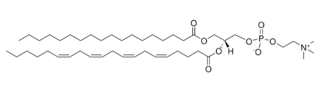 18:0-20:4 PC，CAS:35418-59-8，L-α-磷脂酰胆碱-β-花生四烯酰-γ-硬脂酰的