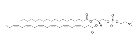 18:0-22:6 PC，CAS:59403-52-0，1-硬脂酰-2-二十二碳六烯酰-磷脂酰胆碱