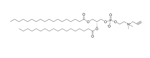 18:0 propargyl PC，CAS:1830366-39-6，PC磷脂酰胆碱