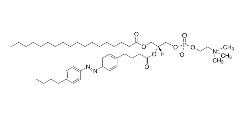 18:0-azo PC，CAS:2098674-45-2，1-硬脂酰基-2-[(E)-4-(4-((4-丁基苯基)二氮烯基)苯基)丁酰基]-sn-甘油-3-磷酸胆碱