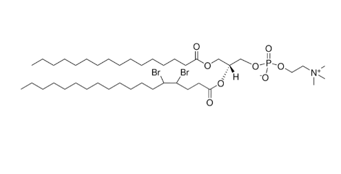 16:0-18:0(4,5-二溴) PC，CAS:105464-30-0，16:0-18:0(4,5-二溴) 磷脂酰胆碱