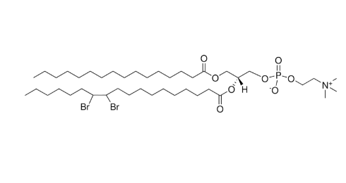 16:0-18:0 (11-12BR) PC，CAS:324054-54-8，PC磷脂类化合物