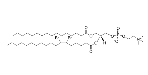 16:0-18:0 (6-7BR) PC，CAS:324054-50-4