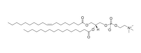 18:1(n10)-16:0 PC，CAS:2389048-47-7磷脂酰胆碱（PC）衍生物