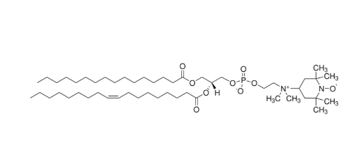 16:0-18:1 Tempo PC，CAS:107576-70-5，PC磷脂酰胆碱