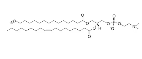 :0(Alkyne)-18:1 PC，CAS:1633800-00-6，PC磷脂酰胆碱衍生物