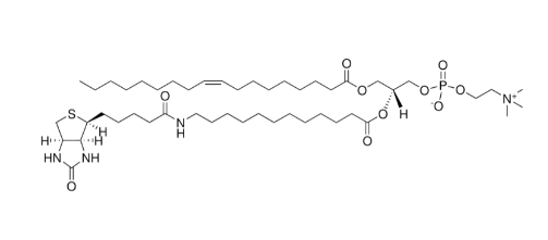 18:1-12:0 Biotin PC，CAS:2260669-99-4，18:1-12:0 生物素 PC