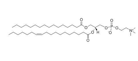 16:0-18:1(n7) PC - IsoPure，CAS:132295-25-1，1-棕榈酰-2-(11Z-十八烯酰)-甘油-3-磷酸胆碱
