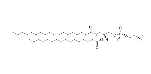 18:1(n10)-16:0 PC - IsoPure，CAS:2389048-47-7磷脂酰胆碱（PC）衍生物