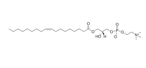18:1 Lyso PC，CAS:19420-56-5，1 - 油酰-SN-甘油-3 - 磷酸胆碱