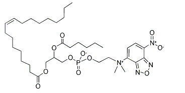 18:1-06:0 NBD PC，CAS:106974-05-4，18:1-06:0 氮芴基磷脂酰胆碱