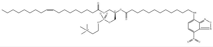 18:1(n7)-16:0 PC - IsoPure，CAS:2389048-50-2，1-(11Z-十八烯酰基)-2-棕榈酰基-sn-甘油-3-磷酸胆碱