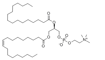18:1(n9)-16:0 PC - IsoPure，CAS:59491-62-2，18:1(n9)-16:0 磷脂酰胆碱