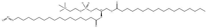 18:0-16:0 (16-Azido) PC，CAS:2456348-93-7，硬脂酰-棕榈酰16-叠氮磷脂酰胆碱