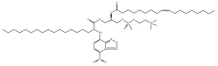 18:0(2-NBD)-18:1 PC  CAS:2707415-28-7，2-荧光素标记硬脂酰-油酰磷脂酰胆碱