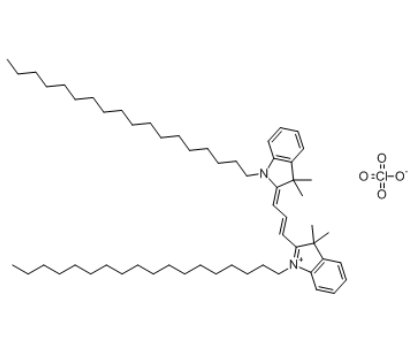 DiI 