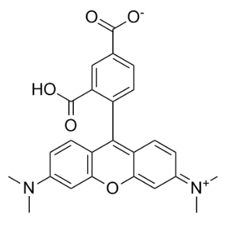 5-羧基四甲基罗丹明