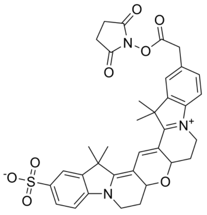 1758268865822543.png image.png