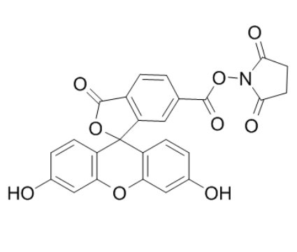 6-羧基荧光素琥珀酰亚胺酯 6-羧基荧光素琥珀酰亚胺酯