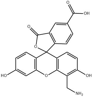 4'-AminoMethyl-6-FAM 4'-AminoMethyl-6-FAM