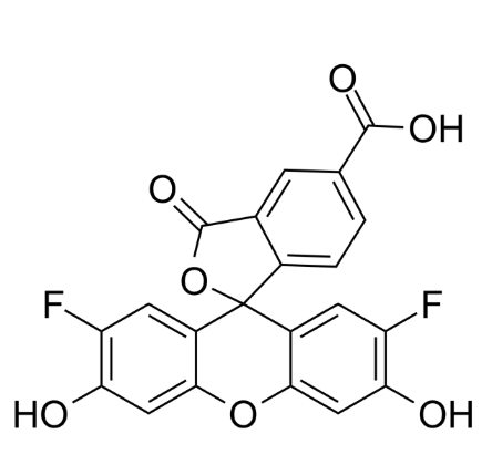 OG488 COOH OG488 COOH