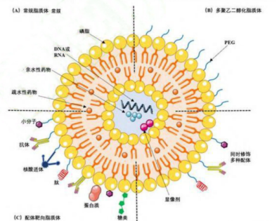 脂质体包药定制服务