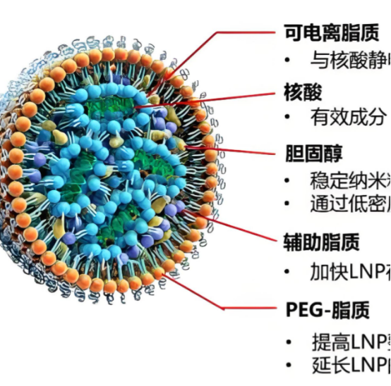 脂质体包药定制服务