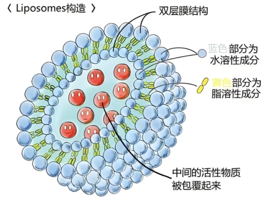 脂质体包药定制服务