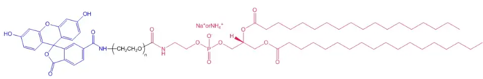 DSPE-PEG2000-FITC