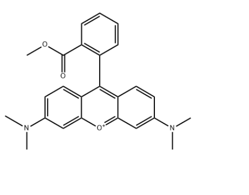 115532-49-5:四甲基罗丹明甲酯(TMRM) 115532-49-5:四甲基罗丹明甲酯(TMRM)