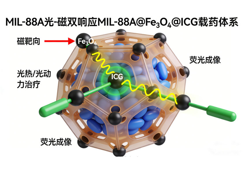 MIL-88A@Fe₃O₄@ICG