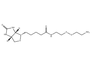 Biotinyl Cystamine
