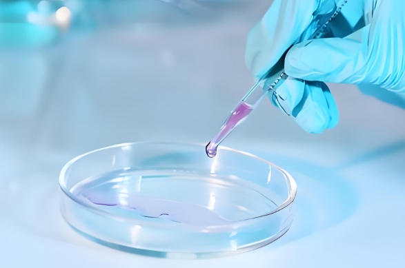 癌细胞膜包裹负载双氢青蒿素的介孔二氧化硅纳米颗粒 癌细胞膜包裹负载双氢青蒿素的介孔二氧化硅纳米颗粒