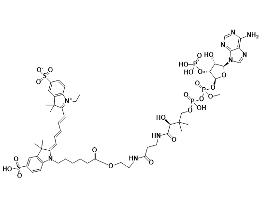 Cy5-辅酶