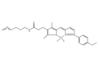 BDP TMR azide BDP TMR azide