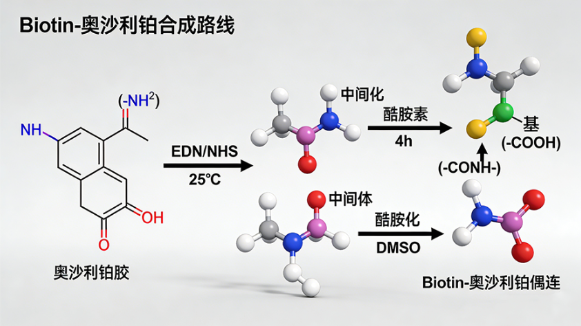 Biotin-奥沙利铂