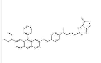 BHQ3 NHS ester BHQ3 NHS ester