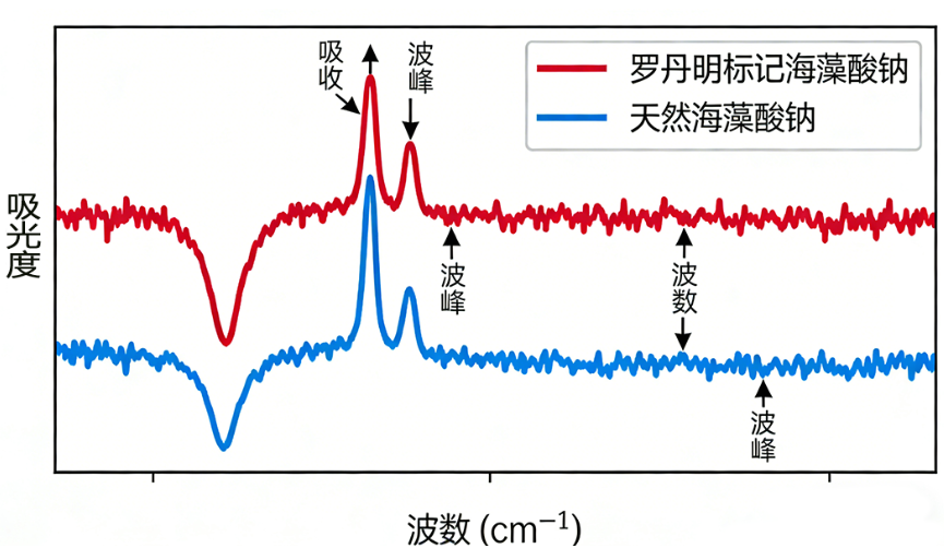 罗丹明-海藻酸钠