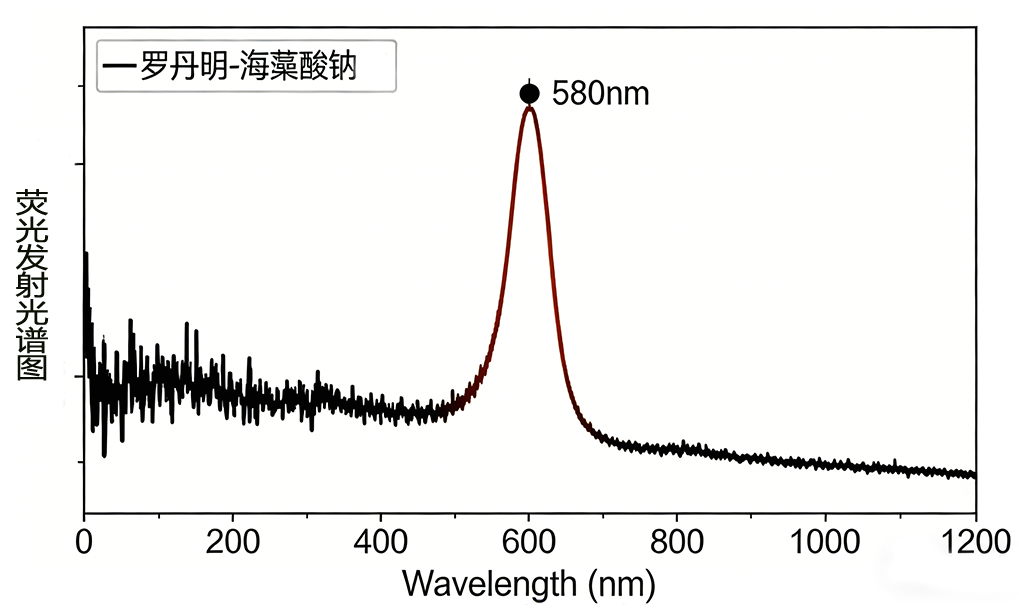 罗丹明-海藻酸钠
