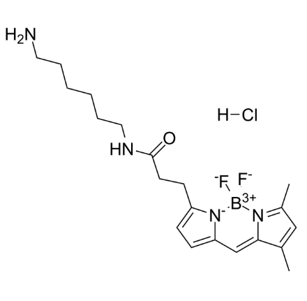 BODIPY FL amine